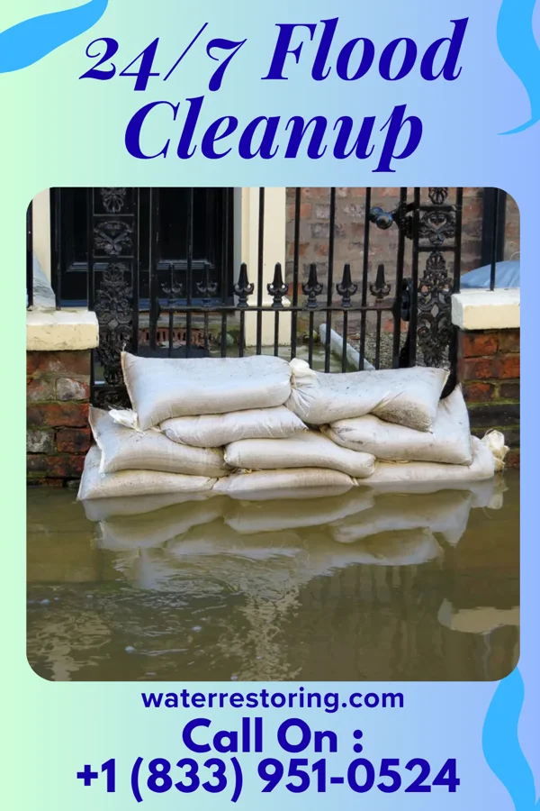 24/7 Flood Cleanup in Port Wentworth, GA