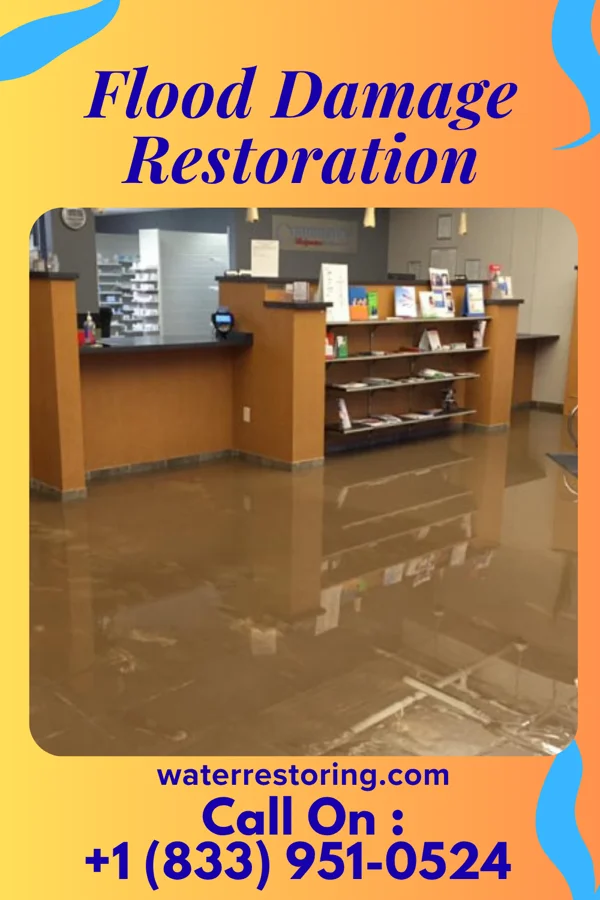 Flood Damage Restoration in Port Wentworth, GA