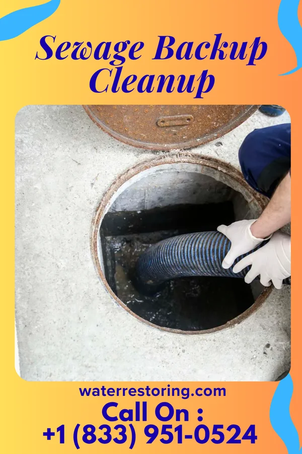 Sewage Backup Cleanup in Port Wentworth, GA